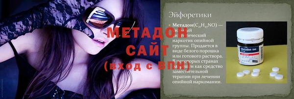 гашик Алексин