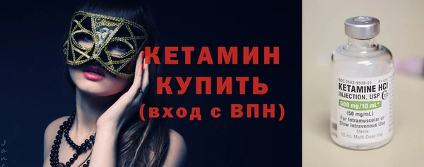 гашик Алексин