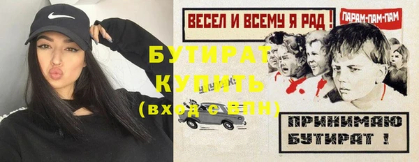 гашик Алексин